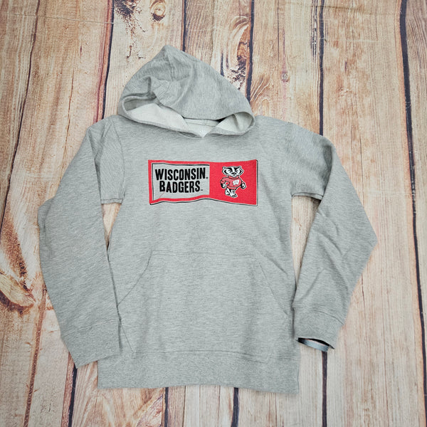 WES AND WILLY BADGERS YOUTH FLEECE HOODIE 433WIS172